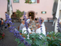 Biergarten Sonne Loffenau